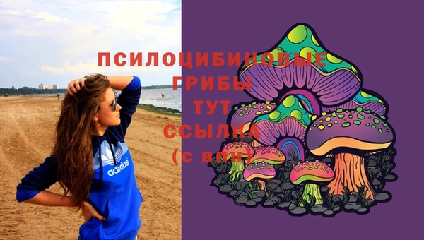 прущий лед Кукмор