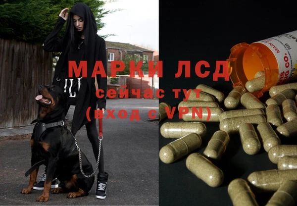 mdpv Ладушкин