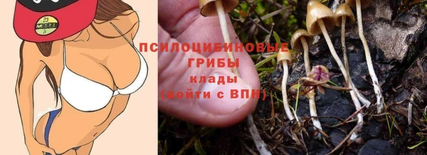 mdpv Ладушкин